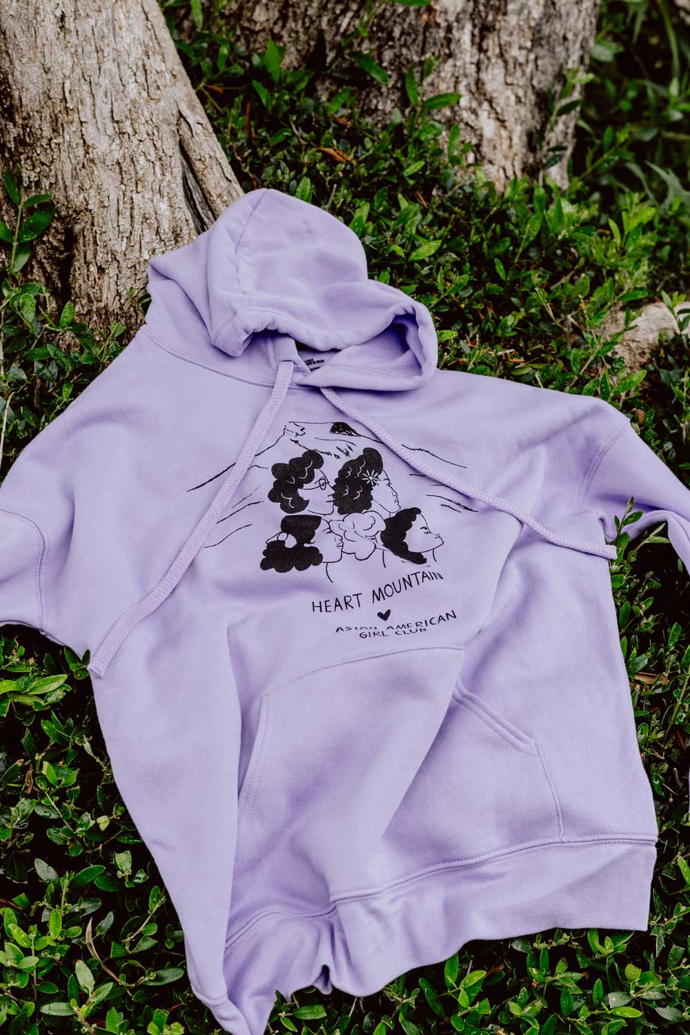 Heart Mountain Hoodie (Unisex)